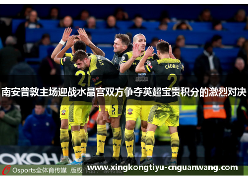 南安普敦主场迎战水晶宫双方争夺英超宝贵积分的激烈对决 南安普敦主场迎战水晶宫双方争夺英超宝贵积分的激烈对决
